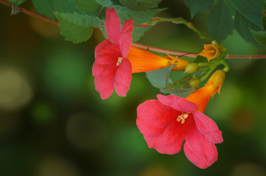 Similar image 565665