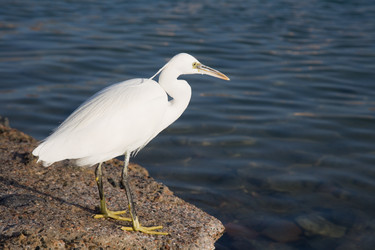 Similar image 565851