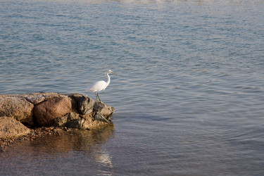 Similar image 565854