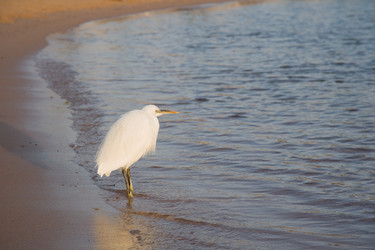 Similar image 565886