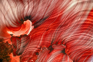 Similar image 565915