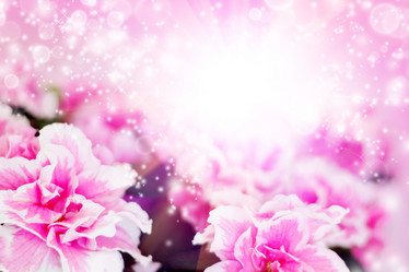 Similar image 566024