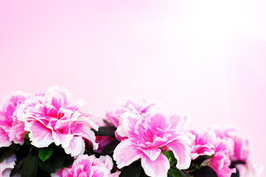 Similar image 566028