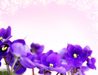 Similar image 566033