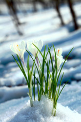 Similar image 566146