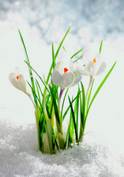 Similar image 566145