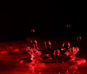 Similar image 566153