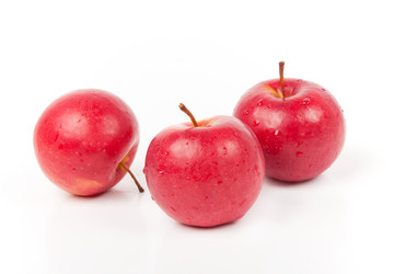 Similar image 566254