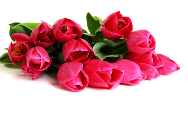 Similar image 566277