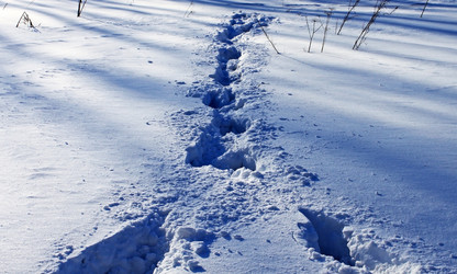 Similar image 566359