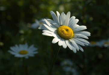 Similar image 566438