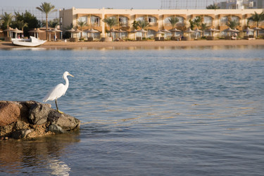 Similar image 566439