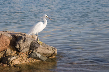 Similar image 566440