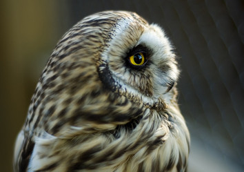 Similar image 566455