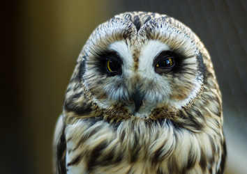 Similar image 566456