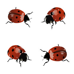 Similar image 566483