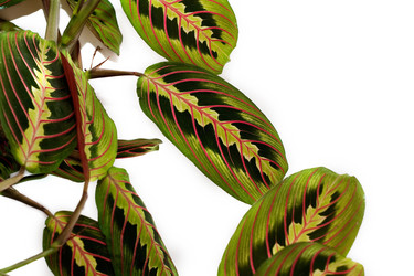 Similar image 566485