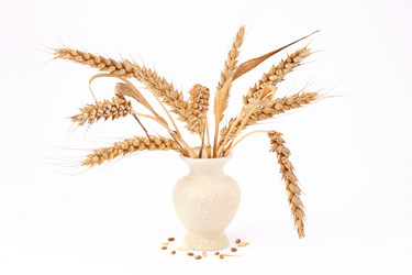 Similar image 566604