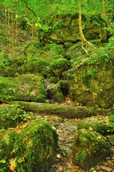 Similar image 566626