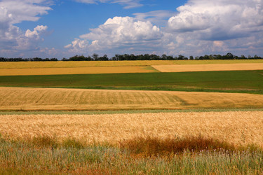 Similar image 566634