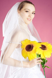 Similar image 566705