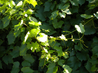 Similar image 566713