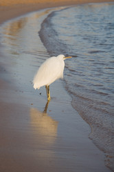 Similar image 566728