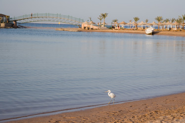 Similar image 566733