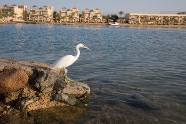 Similar image 566734