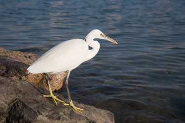 Similar image 566737