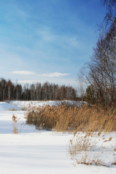 Similar image 567025