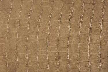 Similar image 567185