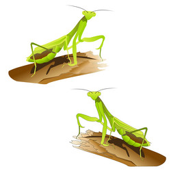 Similar image 567205