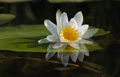 Similar image 567286