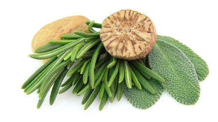 Similar image 567304