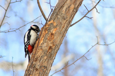 Similar image 567503