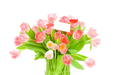 Similar image 567666