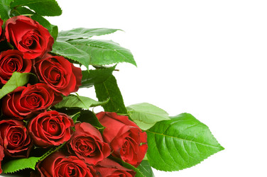 Similar image 567675