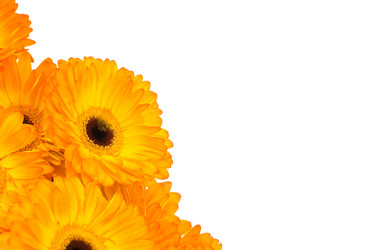 Similar image 567679