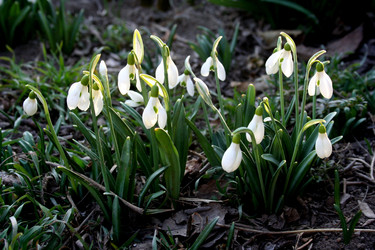 Similar image 567749