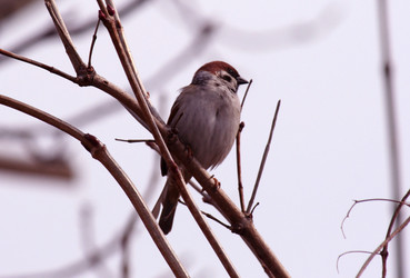 Similar image 567762