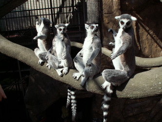 Similar image 567908