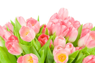 Similar image 568101