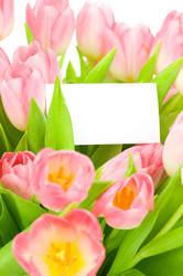 Similar image 568102