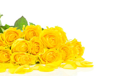 Similar image 568114