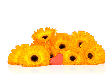 Similar image 568116