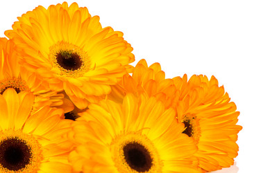 Similar image 568118