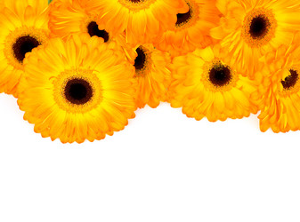 Similar image 568119