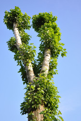 Similar image 568197