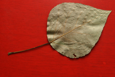 Similar image 568206